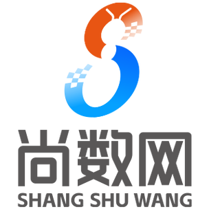 深圳市尚數網科技 數字浪潮中的專業引航者